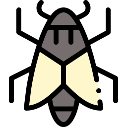 Moth icon