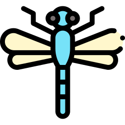 Dragonfly icon