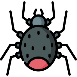 spinne icon