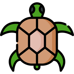 Turtle icon