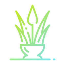 Aloe vera icon