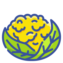 blumenkohl icon