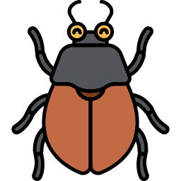 Beetle icon