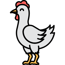 Chicken icon