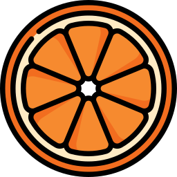 Orange slice icon