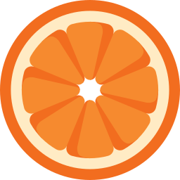 Orange slice icon