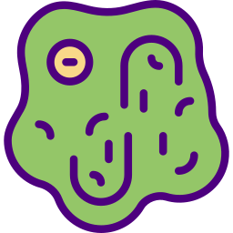 zelle icon