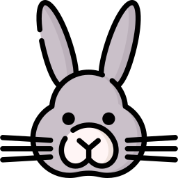 Rabbit icon