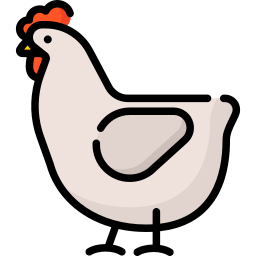 poulet Icône