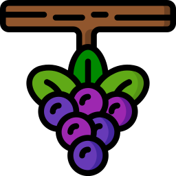 Berries icon