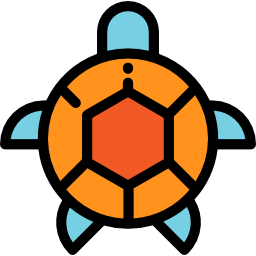 Turtle icon