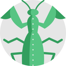 Praying mantis icon