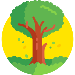 baum icon