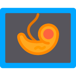 Ultrasound icon