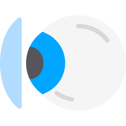 Contact lens icon