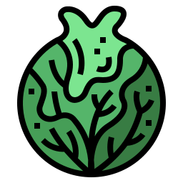 Cabbage icon