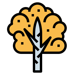 Birch icon