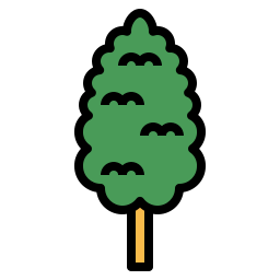 Cypress icon