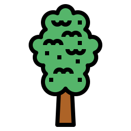 Elm icon