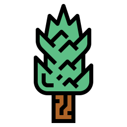 Juniper icon