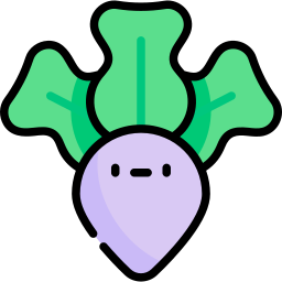 Radish icon