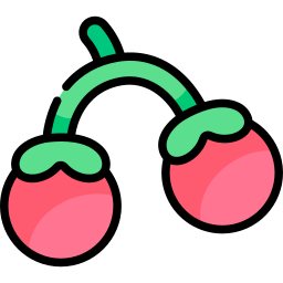 Cherry tomato icon