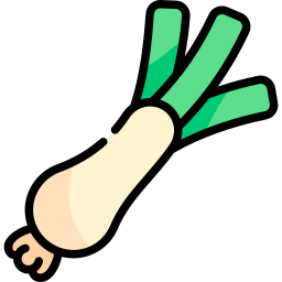 Spring onion icon