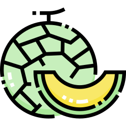 Melon icon