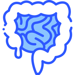 Intestine icon