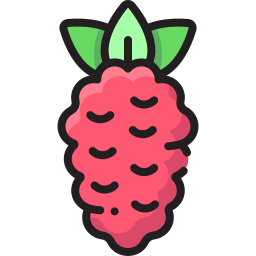 himbeeren icon