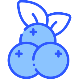 Blueberries icon