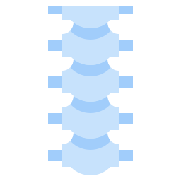 Spine icon