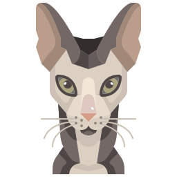 katze icon