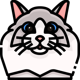 猫 icon