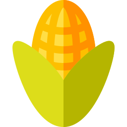 Corn icon