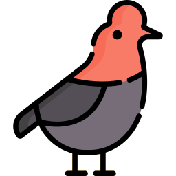 vogel icon