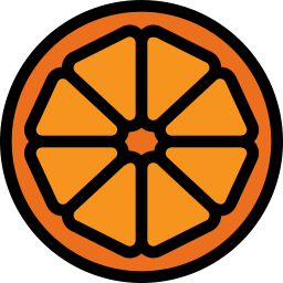 Orange slice icon