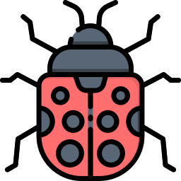 Ladybug icon