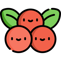 beeren icon