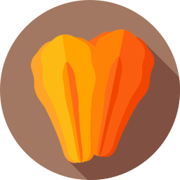 kimchi icon