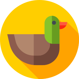 ente icon