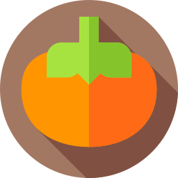 persimmon icon