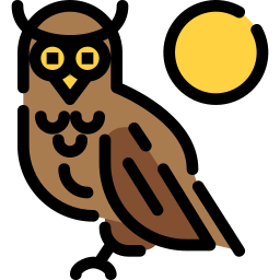 Owl icon