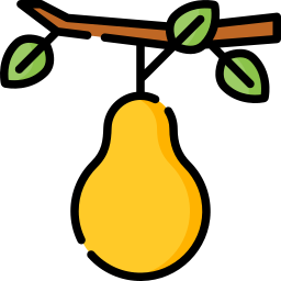 Pear icon