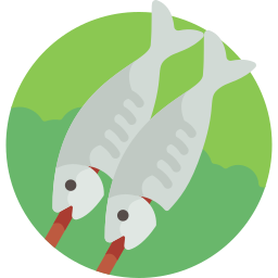 fisch icon