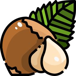 Hazelnut icon