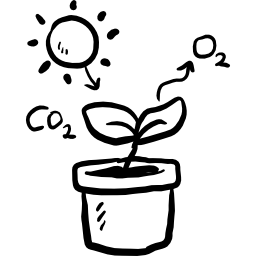 Photosynthesis icon