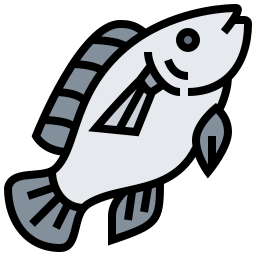 Fish icon