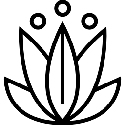 lotus icon