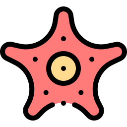 Starfish icon